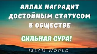 УВАЖЕНИЕ-АВТОРИТЕТ-ПОЧЁТ! АЛЛАХ НАГРАДИТ ТЕБЯ ЭТИМ! ИН ША АЛЛАХ