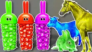 Blender M&M’s, Animals, Ice | Kids Song Learn Colors Different Colours