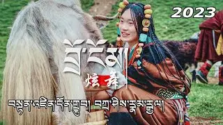 New Tibetan Song 2023 བྲོ་ངོམ། བསྟན་འཛིན་དོན་གྲུབ། བཀྲ་ཤིས་རྣམ་རྒྱལ། Tibetan Dance 2023