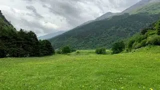 Sounds of nature in the Mountain Valley, on a Rainy Day