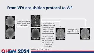 OHBM 2024 | Oral Session | Eden Mama |  A new approach for reproducible water fraction and T1 mapp…