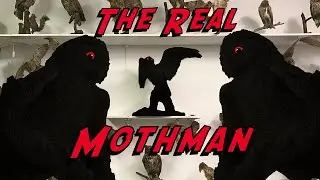 The Body of Mothman