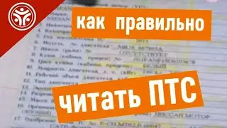 Как правильно читать ПТС Паспорт Транспортного Средства  (Советы от РДМ-Импорт)