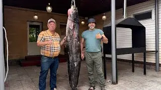 РЫБА КАК МЯСО !  ШАШЛЫК ЧИЛИ ИЗ КРУПНОГО СОМА #рецепт #сом  #шашлык
