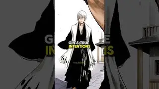 Gin's true intentions showed in SS Arc? 