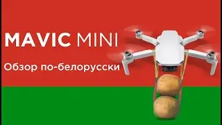 DJI Mavic Mini – Обзор и Большой Тест