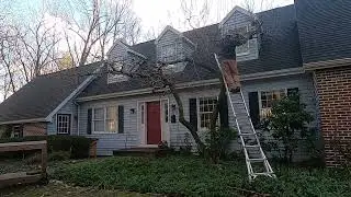 Tree Haircut: Paying Rent, ep. 3