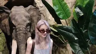 Мы с Ваней и Лёлей в Лого Парке!!!