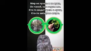 Мир не лучше и не хуже, Он такой, как видим мы! #цитата