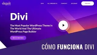 Haciendo una Página Web con Divi en 8 Minutos