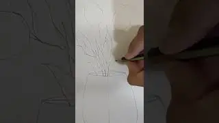 How to draw a flower vase 