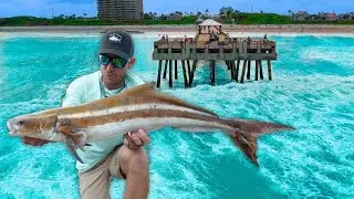 7 Days Catching Every Fish From Legendary Pier