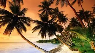 Beautiful Tropical Music & Caribbean Music & Hawaiian Music - Island Paradise 🌴