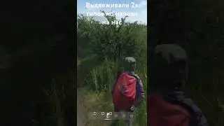 Выслеживали мы а напали на нас в Дейз Ливония #dayzpvp #дейз #ливония #выживание