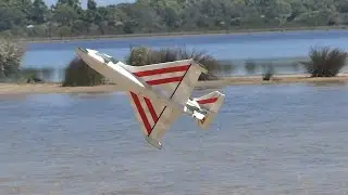 Dragonfly and Polaris at the lake