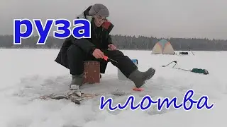 Руза, наловил плотвы