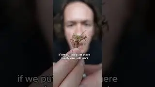 terrarium in an object that can't exist in our 3d world
