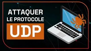 Les BASES du Protocole UDP (+ Analyse avec WIRESHARK)