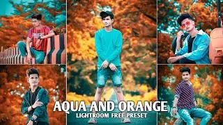 Aqua And Orange Colour Tone Presets 2021 || Lightroom Mobile Dng Preset || Preset Download Free ||