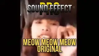 158 | Meow Meow Meow |  Free Meme Video With Sound Effect For Vlog | No Copyright Meme Video Sound