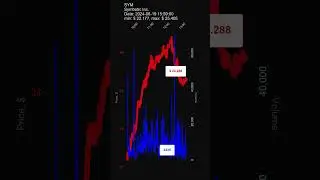 SYM, Symbotic Inc., 2024-08-19, stock prices dynamics, stock of the day #SYM