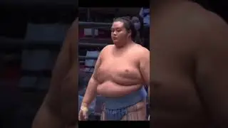 Хеденоуми vs Котоновака Нагоя Басё 2021 #japan #sumo #duel #япония #сумо #sport #mma #ufc #wwe