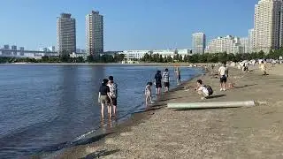 Tokyo Odaiba Marine Park - Public Park that Stretches around the Tokyo Bay