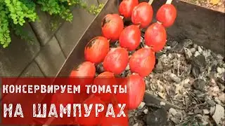 Заготовка / Консервируем томаты на шампурах