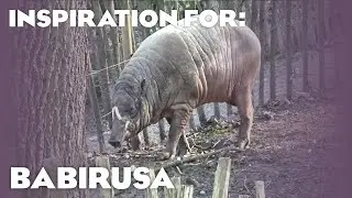 2 Real Babirusa Habitats! (Planet Zoo Inspiration)