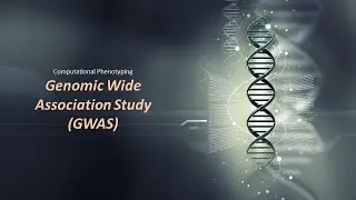 Genomic Wide Association Study