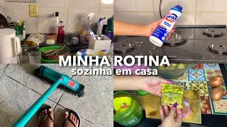 ROTINA EM CASA SOZINHA 💕🏠| faxina em casa + almoço