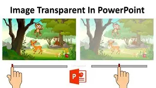 How to Make Image Transparent In PowerPoint