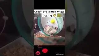 Спорт Это Не Мое😎