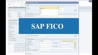 Introduction to SAP FICO