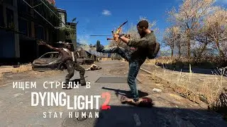 Dying Light  2: Stay Human. Где найти стрелы.