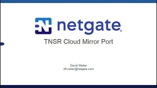 TNSR Use Case - Cloud Mirror Port