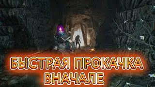 БЫСТРАЯ ПРОКАЧКА НА РАННИХ ЭТАПАХ ( 50К В ЧАС ) / LORDS OF THE FALLEN