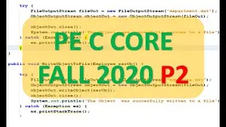 Lập trình C - giải đề thi PE C core FALL 2020 - P2