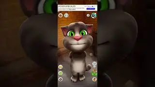 Talking Tom 🍒🥞🥭🍉🍑🍉🥞🍉🧈🍉