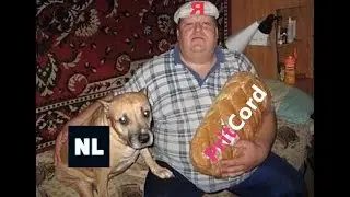 Стрим с Неверлузом