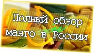 Как выбрать спелое манго? Обзор всех манго в России