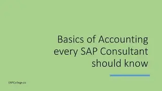 Basics of Accounting every SAP Consultant should know (Learn these before starting career in SAP)