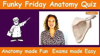 Funky Friday Anatomy Quiz 06.11.2020