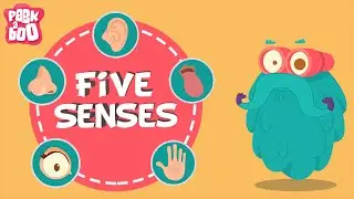 The Five Senses | The Dr. Binocs Show | Educational Videos For Kids