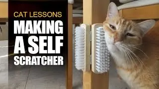 How to Make a Self Scratcher for Cats