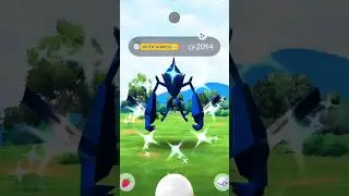 played 50 Raids for shiny ultra beast 