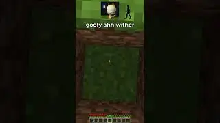 goofy ahh wither in minecraft 💀💀💀