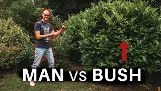 MOVING A BUSH - Man vs Bush