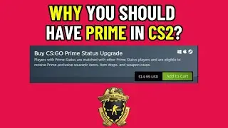 Why you should have PRIME in CS2? (Counter Strike 2)