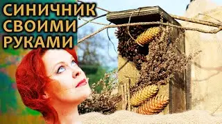 Синичник своими руками. Домик с учетом особенностей синиц.